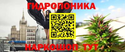 spice Аргун